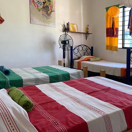 Oaxaca Casa El Mundo旅舍 外观 照片